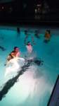 carnaval201519_small.jpg
